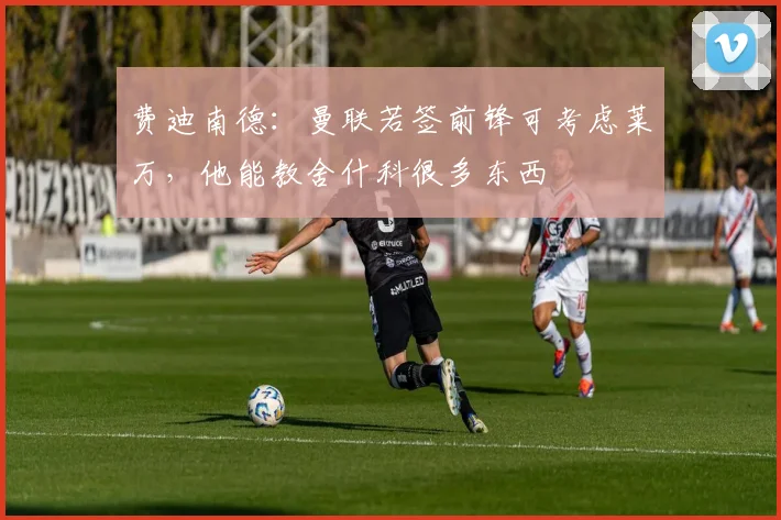 费迪南德：曼联若签前锋可考虑莱万，他能教舍什科很多东西