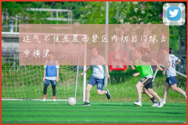 运气不佳王晨西禁区内切打门球击中横梁