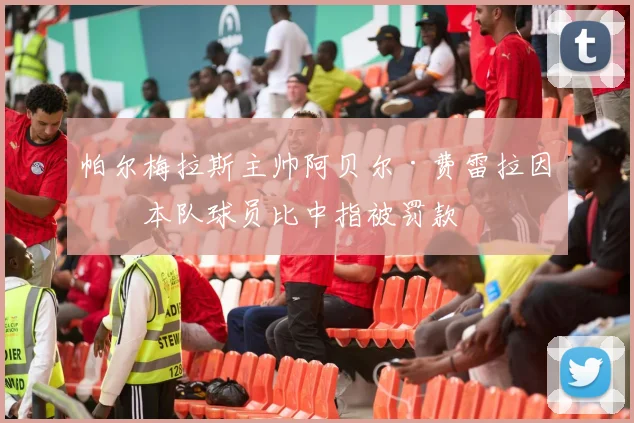 帕尔梅拉斯主帅阿贝尔·费雷拉因向本队球员比中指被罚款